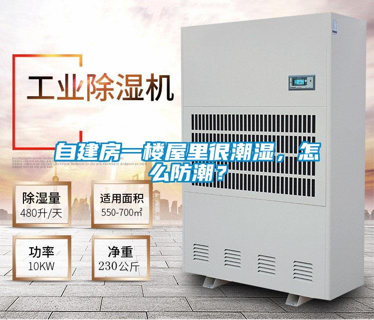 自建房一樓屋里很潮濕，怎么防潮？