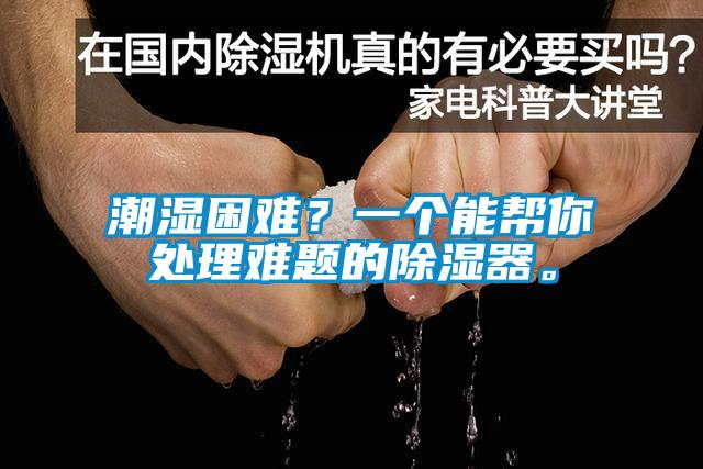 潮濕困難？一個(gè)能幫你處理難題的除濕器。