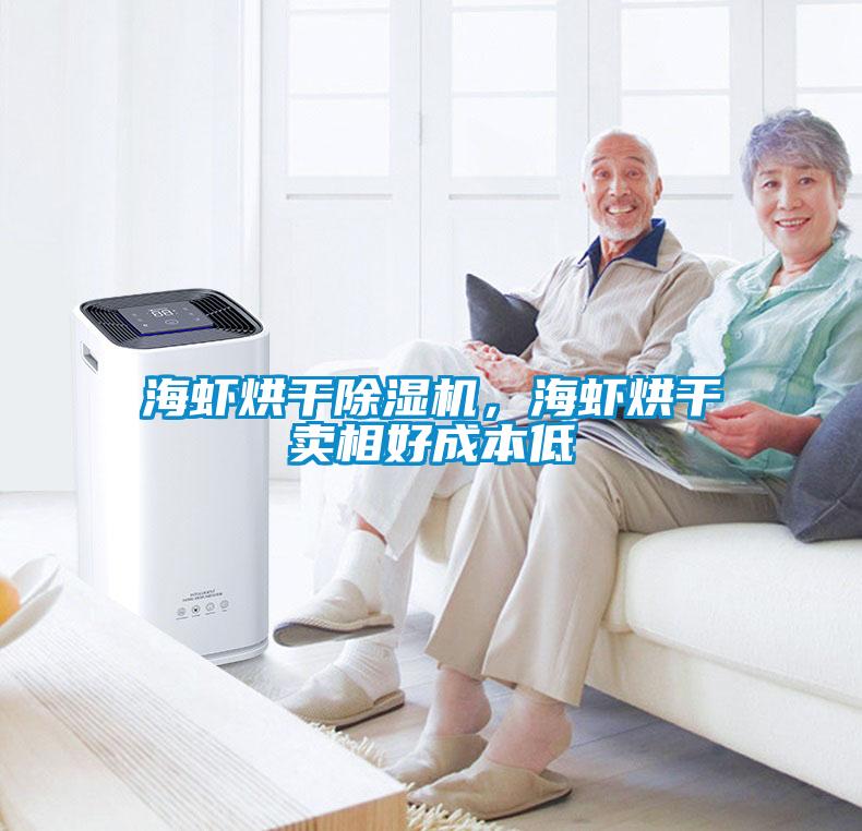 海蝦烘干除濕機(jī)，海蝦烘干賣相好成本低