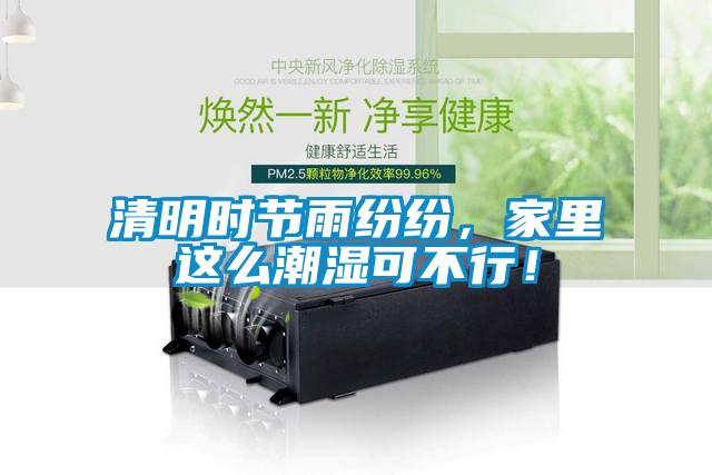 清明時(shí)節(jié)雨紛紛，家里這么潮濕可不行！