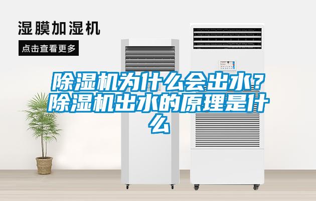 除濕機(jī)為什么會(huì)出水？除濕機(jī)出水的原理是什么