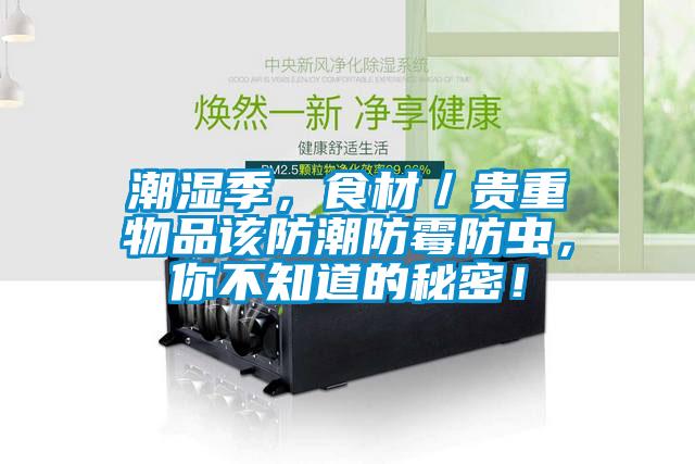 潮濕季，食材／貴重物品該防潮防霉防蟲，你不知道的秘密！