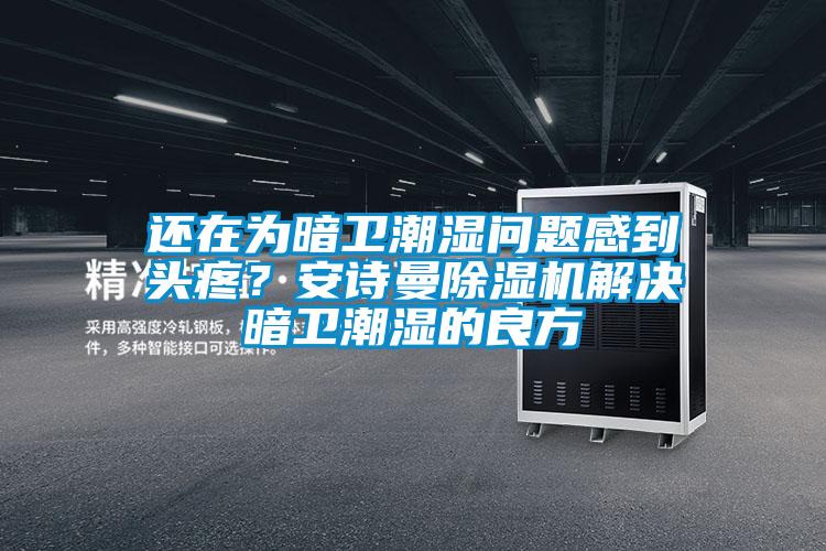 還在為暗衛(wèi)潮濕問題感到頭疼？安詩曼除濕機(jī)解決暗衛(wèi)潮濕的良方
