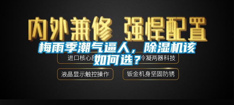 梅雨季潮氣逼人，除濕機(jī)該如何選？