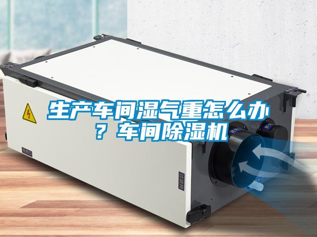 生產(chǎn)車間濕氣重怎么辦？車間除濕機(jī)