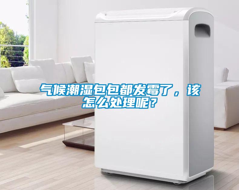氣候潮濕包包都發(fā)霉了，該怎么處理呢？