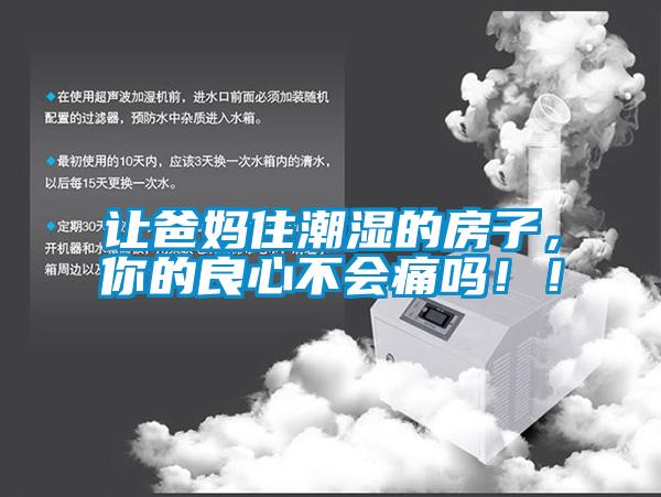 讓爸媽住潮濕的房子，你的良心不會痛嗎?。?/></p>
						    <p style=