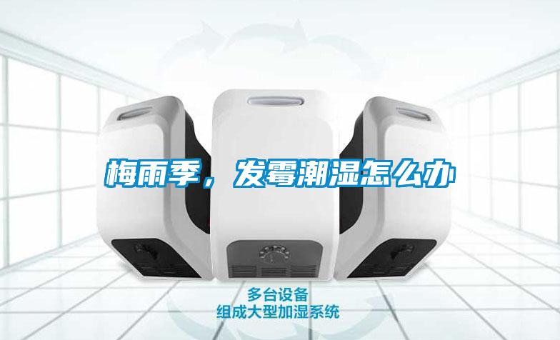 梅雨季，發(fā)霉潮濕怎么辦