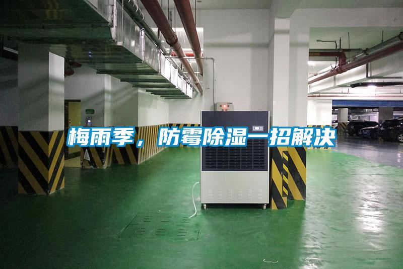 梅雨季，防霉除濕一招解決