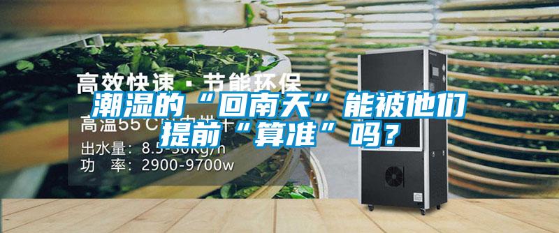 潮濕的“回南天”能被他們提前“算準(zhǔn)”嗎？