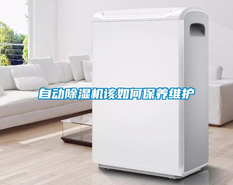 自動除濕機(jī)該如何保養(yǎng)維護(hù)