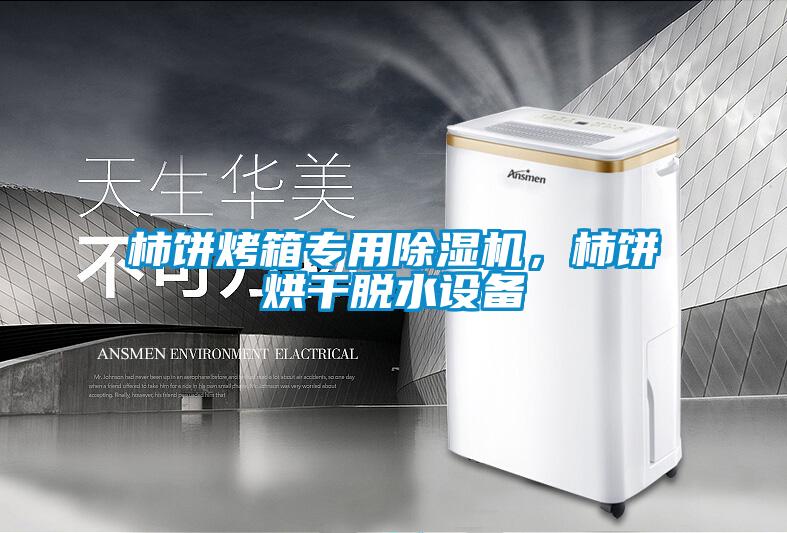 柿餅烤箱專用除濕機，柿餅烘干脫水設備