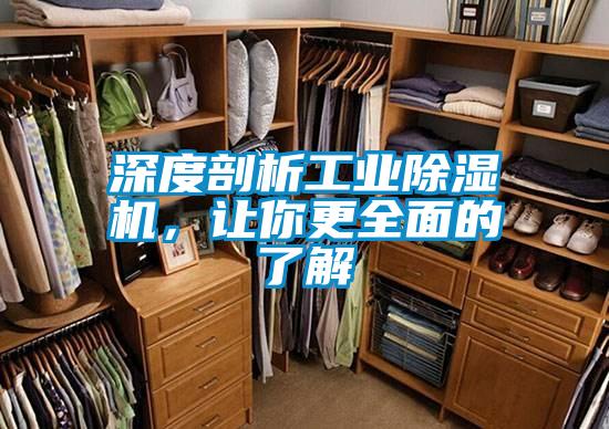 深度剖析工業(yè)除濕機(jī)，讓你更全面的了解
