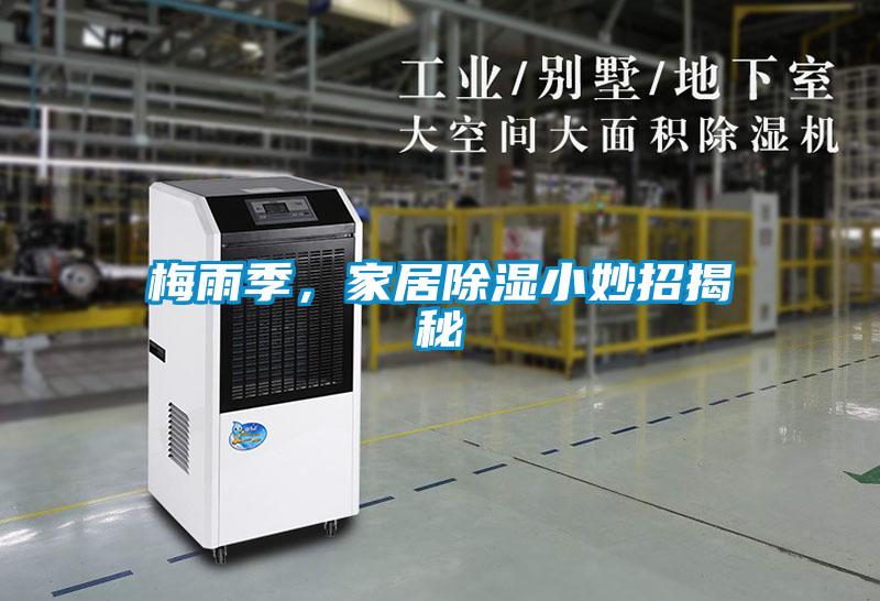 梅雨季，家居除濕小妙招揭秘