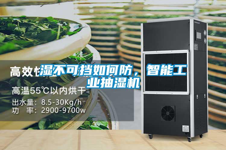 濕不可擋如何防，智能工業(yè)抽濕機(jī)