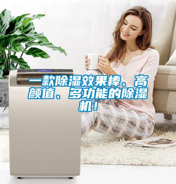 一款除濕效果棒、高顏值、多功能的除濕機(jī)！