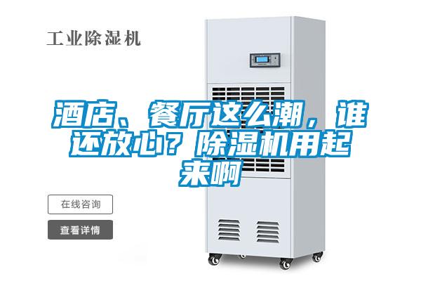 酒店、餐廳這么潮，誰還放心？除濕機用起來啊
