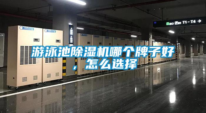 游泳池除濕機哪個牌子好，怎么選擇