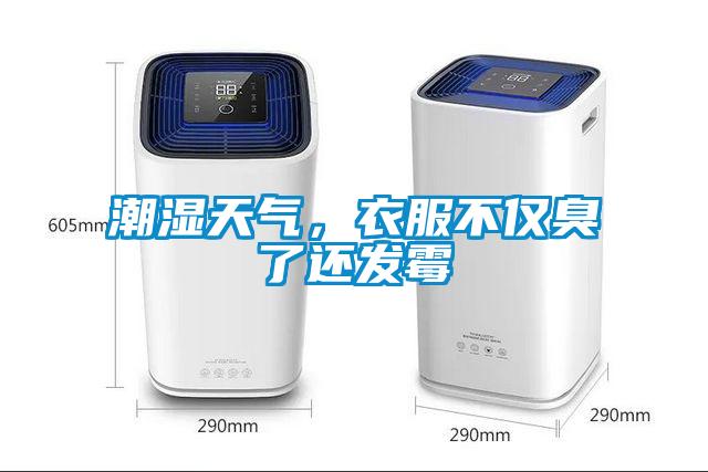 潮濕天氣，衣服不僅臭了還發(fā)霉