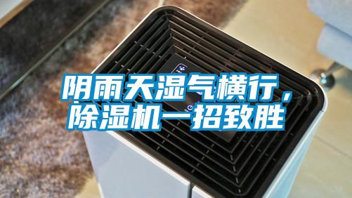 陰雨天濕氣橫行，除濕機(jī)一招致勝