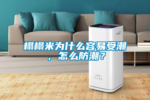 榻榻米為什么容易受潮，怎么防潮？