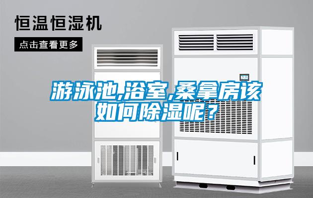 游泳池,浴室,桑拿房該如何除濕呢？