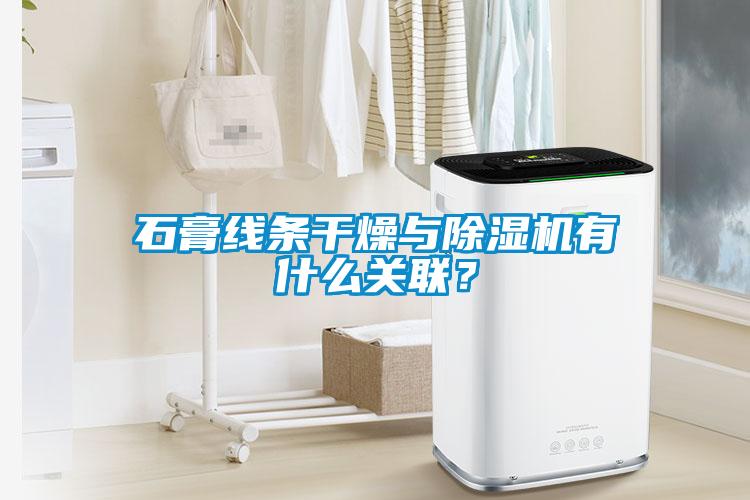 石膏線條干燥與除濕機(jī)有什么關(guān)聯(lián)？