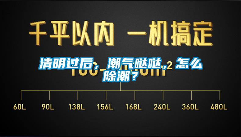 清明過后，潮氣噠噠，怎么除潮？