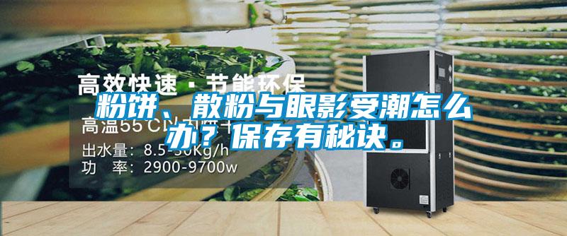 粉餅、散粉與眼影受潮怎么辦？保存有秘訣。