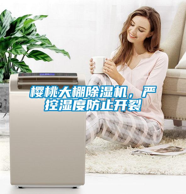 櫻桃大棚除濕機(jī)，嚴(yán)控濕度防止開裂
