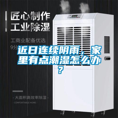 近日連續(xù)陰雨，家里有點潮濕怎么辦？