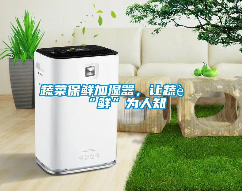 蔬菜保鮮加濕器，讓蔬菜“鮮”為人知