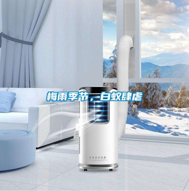 梅雨季節(jié)，白蟻肆虐