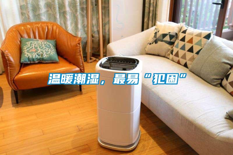 溫暖潮濕，最易“犯困”