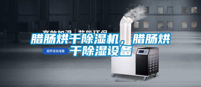 臘腸烘干除濕機，臘腸烘干除濕設(shè)備