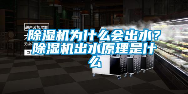 除濕機(jī)為什么會(huì)出水？除濕機(jī)出水原理是什么