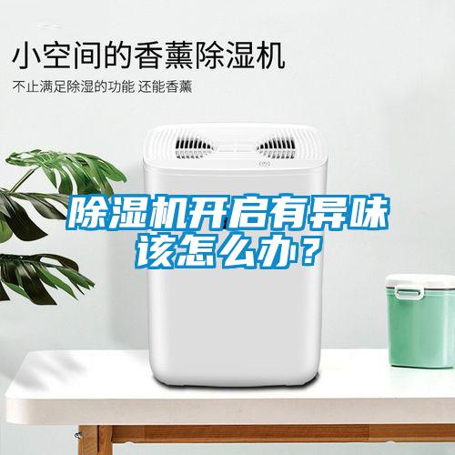 除濕機(jī)開啟有異味該怎么辦？