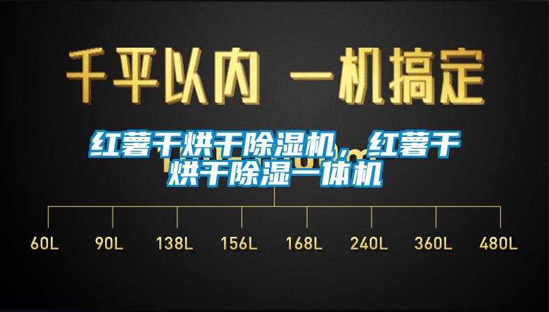 紅薯干烘干除濕機(jī)，紅薯干烘干除濕一體機(jī)