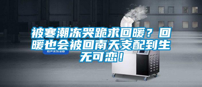 被寒潮凍哭跪求回暖？回暖也會(huì)被回南天支配到生無(wú)可戀！