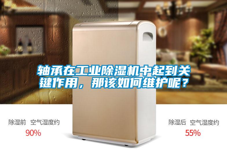 軸承在工業(yè)除濕機中起到關鍵作用，那該如何維護呢？