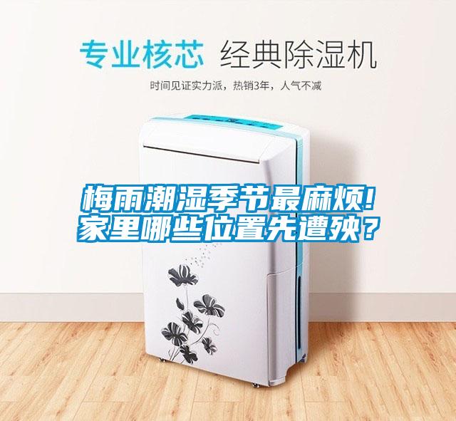 梅雨潮濕季節(jié)最麻煩!家里哪些位置先遭殃？