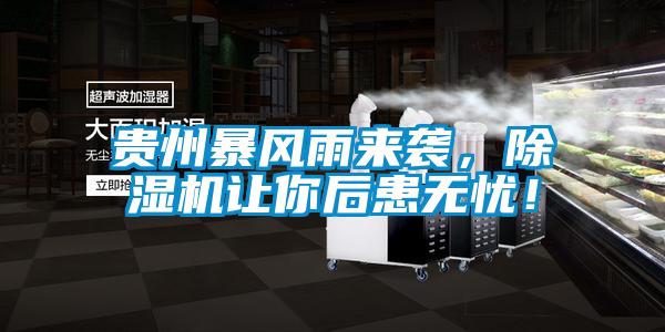 貴州暴風(fēng)雨來襲，除濕機(jī)讓你后患無憂！
