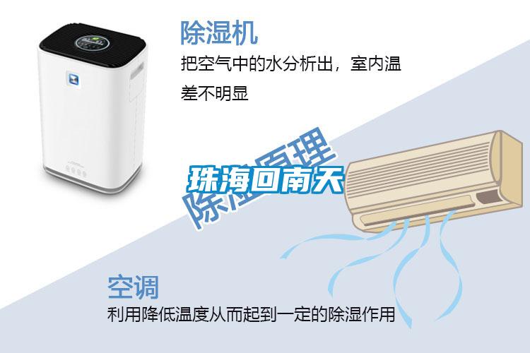 珠?；啬咸?/></p>
						    <p style=