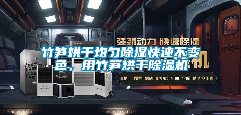 竹筍烘干均勻除濕快速不變色，用竹筍烘干除濕機