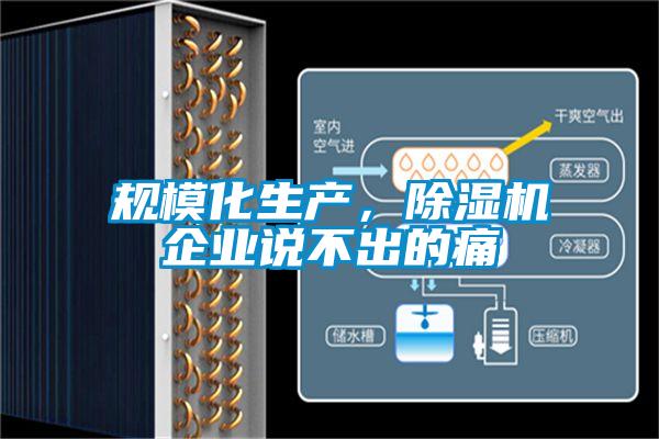 規(guī)?；a(chǎn)，除濕機企業(yè)說不出的痛