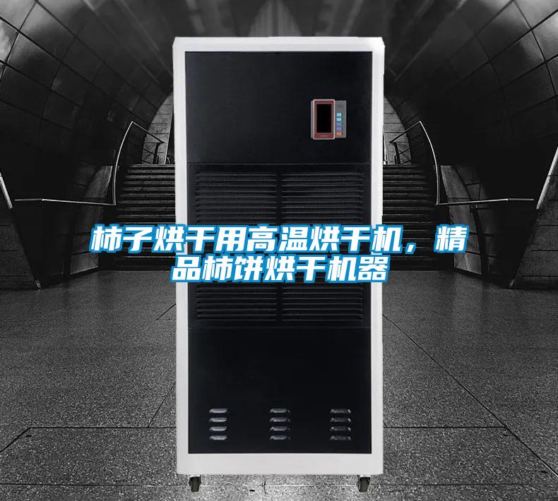柿子烘干用高溫烘干機(jī)，精品柿餅烘干機(jī)器
