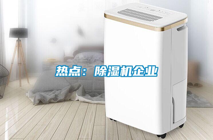 熱點：除濕機(jī)企業(yè)