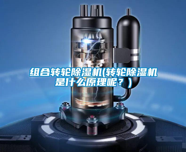 組合轉(zhuǎn)輪除濕機(jī)(轉(zhuǎn)輪除濕機(jī)是什么原理呢？)
