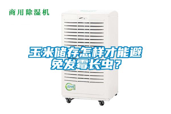 玉米儲(chǔ)存怎樣才能避免發(fā)霉長(zhǎng)蟲？