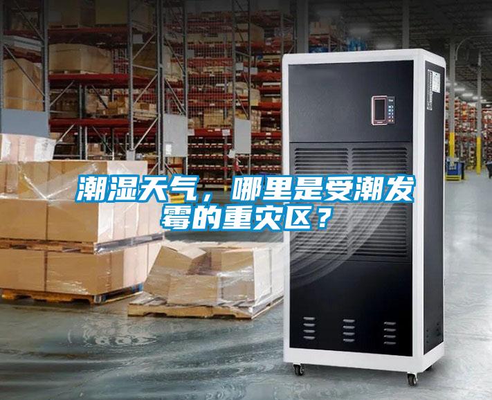 潮濕天氣，哪里是受潮發(fā)霉的重災(zāi)區(qū)？